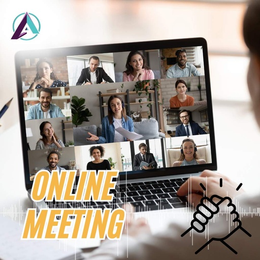 ONLINE MEETINGS